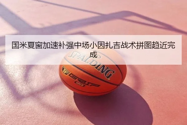 国米夏窗加速补强中场小因扎吉战术拼图趋近完成